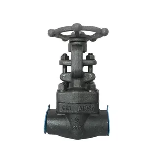 Forged Carbon Steel Gate Valve, API 602, A105N, 3/4 IN, BW