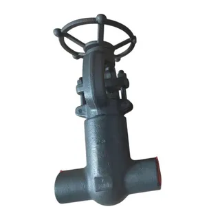 Pressure Seal Bonnet Gate Valve, API 602, A105N, 1IN, CL2500