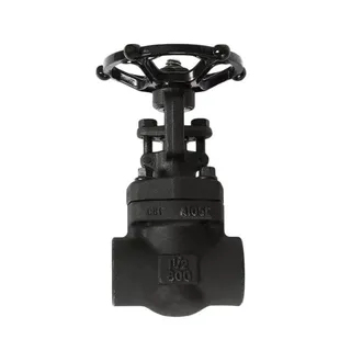 ASTM A105N Gate Valve, API 602, ASME B16.34, 1/2 Inch, CL800