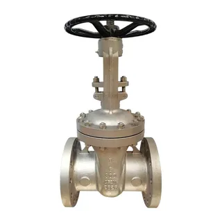 ASTM A351 CF3M Gate Valve, API 600, 6 Inch, CL300, RS, BB
