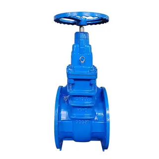 Ductile Iron GGG50 Gate Valve, DIN 3352, DN300, PN10, NRS