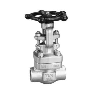 API 602 Gate Valve, ASME B16.34, F304, 1-1/4 IN, 150 LB, BW