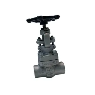 ASTM A182 F304 Gate Valve, API 602, 3/4 Inch, CL800, NPT End