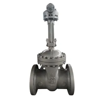 API 600 Wedge Gate Valve, ASTM A216 WCB, 14 Inch, CL300, RF