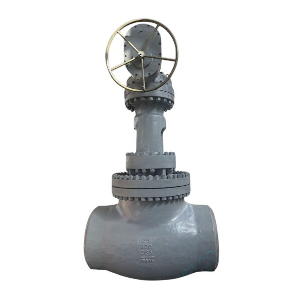 ASTM A217 C12A Globe Valve, BS 1873, 28 Inch, CL600, BW Ends