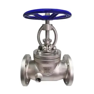 Jacketed Globe Valve, ASME B16.34, ASTM A351 CF8, DN50, PN16