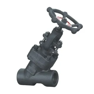 ASTM A105N Y Globe Valve, API 602, 1 Inch, 800 LB, OS&Y, BB