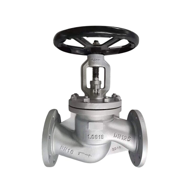 EN 1.0619 Globe Valve, DIN 3356, EN 13709, DN125, PN16, RF