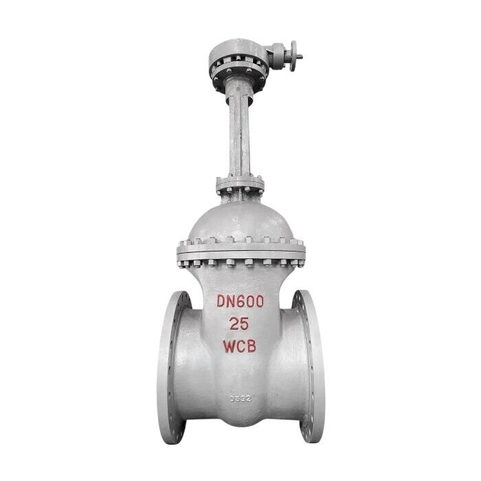 EN 10434 Wedge Gate Valve, A216 WCB, DN600, PN25, 24 IN, RF