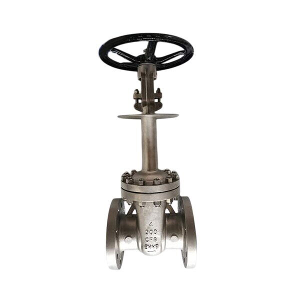 Low Emission Cryogenic Gate Valve, BS 6364, A351 CF8, 4 Inch