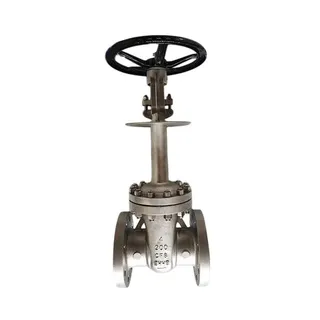 Low Emission Cryogenic Gate Valve, BS 6364, A351 CF8, 4 Inch