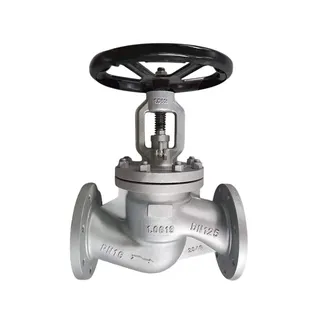 EN 1.0619 Globe Valve, DIN 3356, EN 13709, DN125, PN16, RF
