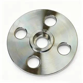 Custom Forged Flanges, ASME, ANSI, API, Stainless Steel, OEM