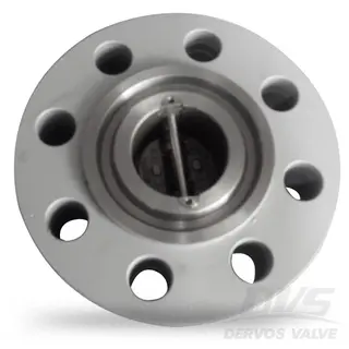Dual Plate Check Valve, 2 Inch, CL300, ASTM A105