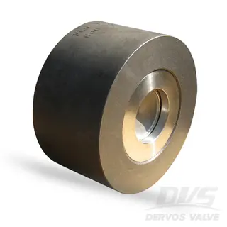 Wafer Check Valve, 1 Inch, CL600, ASTM A105