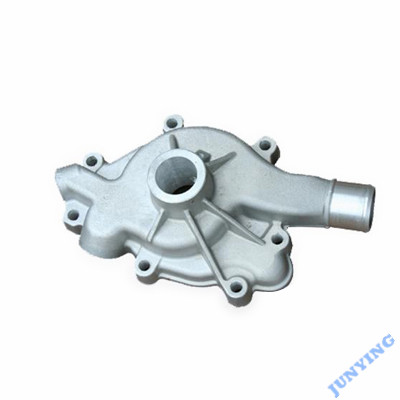 Aluminium Alloy Die Casting Pump Housing Part