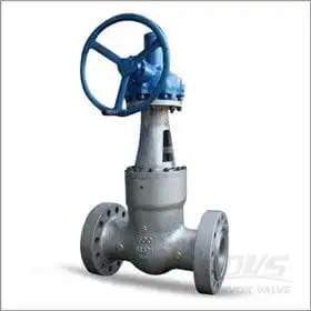 gate valve