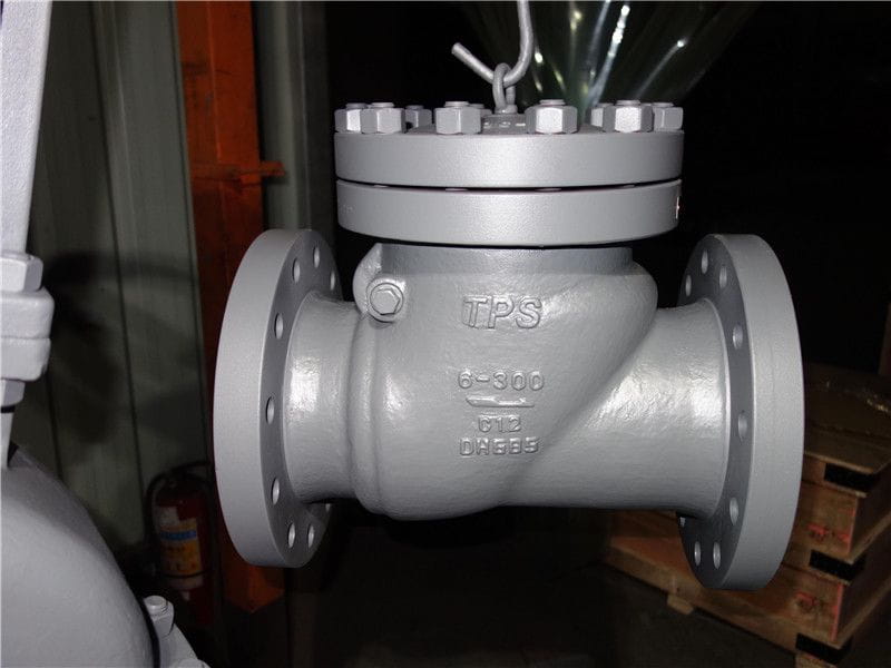 API6D Swing Check Valve