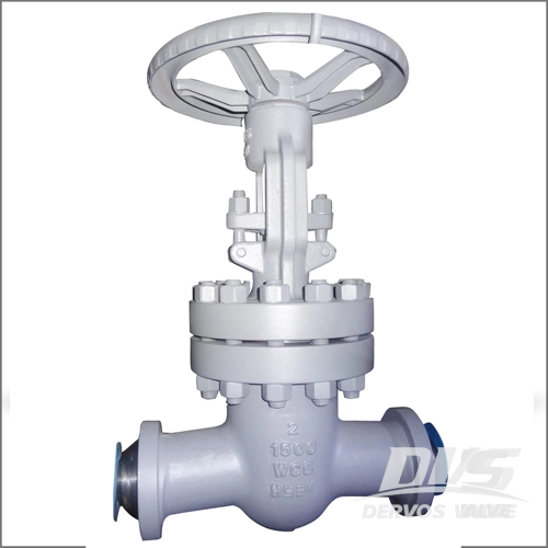 gate valve