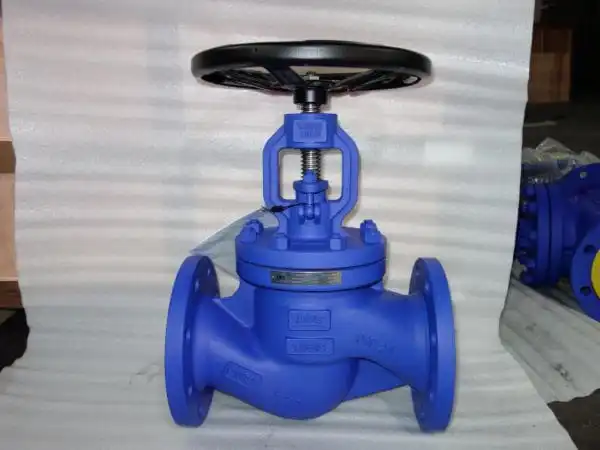 Structural features of bellows globe valves