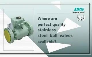 Where to Buy Excellent Stainless Steel Ball Valves?