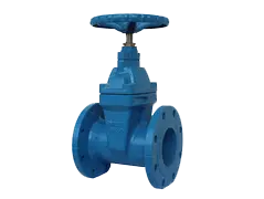 gate valve