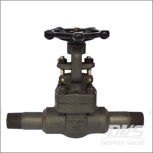 Gate Valve with Nipples