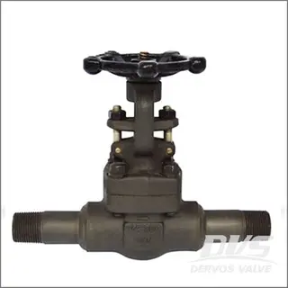 Gate Valve with Nipples