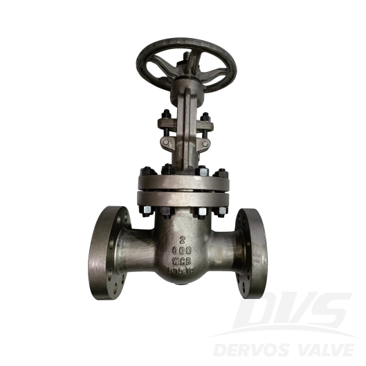 Class 600 LB Gate Valve - Dervos