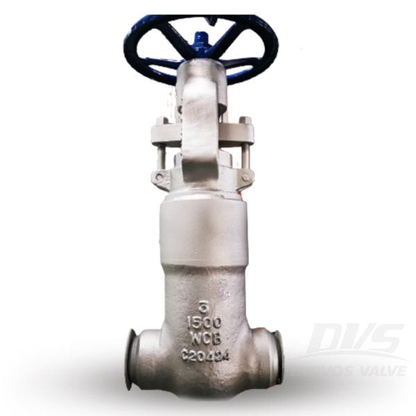 ASTM A182 F304L Gate Valve, 1/2 Inch, CL1500, API 602 - Dervos