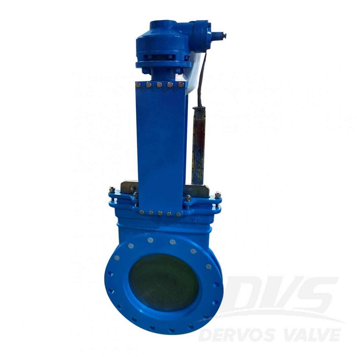Rising Stem Gate Valve - Dervos