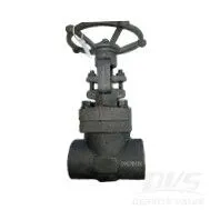 ASTM A105N Rising Stem Gate Valve, 2 Inch, 800 LB, API 602