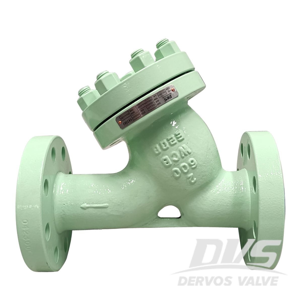 China Strainer Manufacturer, Strainers Supplier - Dervos