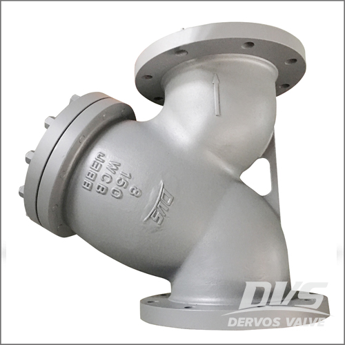 Y Strainer, 6 Inch, 150 LB, RF, WCB Dervos