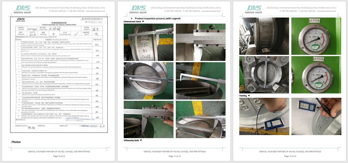 API 594 Dual Plate Wafer Check Valve, LCC, 10 Inch, 150 LB - Dervos