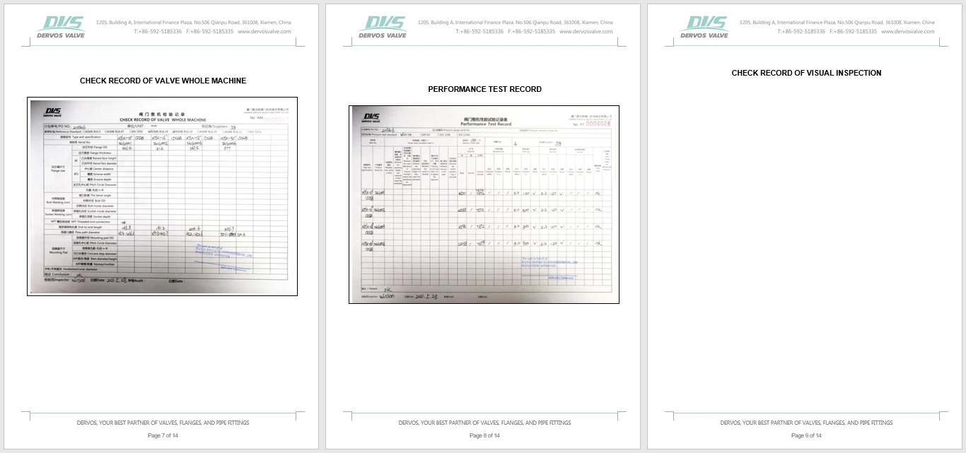 API 594 Dual Plate Wafer Check Valve, LCC, 10 Inch, 150 LB - Dervos