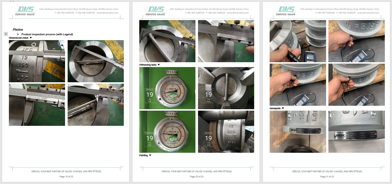 ASTM A351 CF8M Wafer Check Valve, API 594, 10 Inch, 150 LB - Dervos