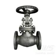 ASTM A351 CF8M Globe Valve, 2 Inch, 150 LB, API 623