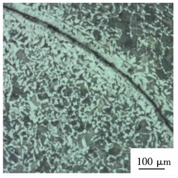 Decarburization on both sides of the warped interlayer of 100μm Decarburization on both sides of the warped interlayer of 100μm
