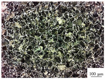 The metal matrix structure of the outer layer The metal matrix structure of the outer layer