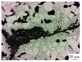 Oxidative decarburization at the root of warped skin Oxidative decarburization at the root of warped skin