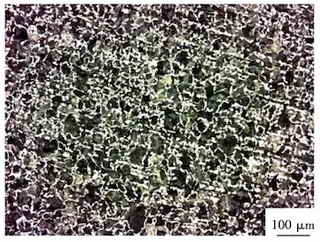 Metal matrix structure of the inner layer