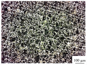 Metal matrix structure of the inner layer Metal matrix structure of the inner layer