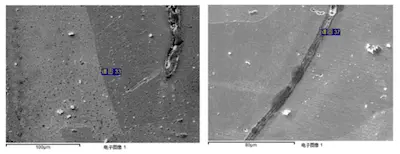 Micromorphology of transverse pockets