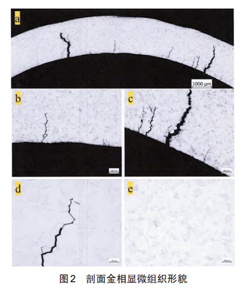 Cross-Sectional Microstructure