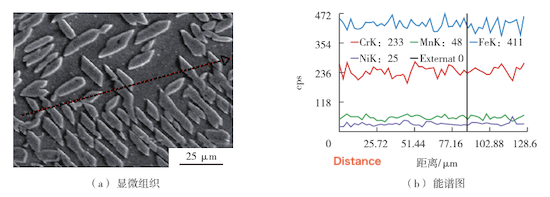 Microstructure and EDS spectrum of the weld seam after sensitization heat treatment at 727 °C