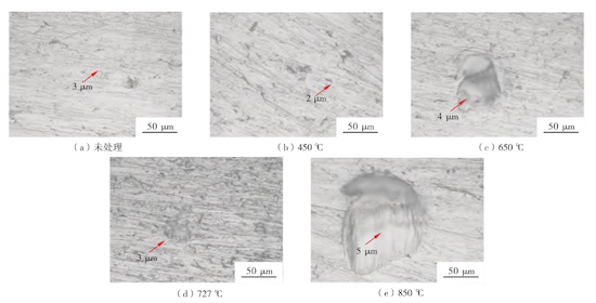 Surface pitting morphologies of the specimens after heat treatment at different temperatures