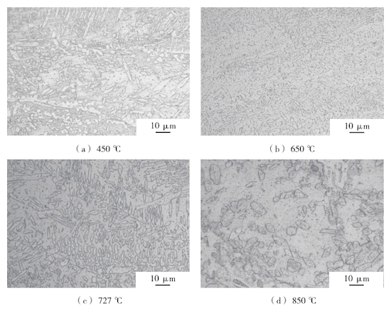 Effect of sensitization heat treatment temperature on the microstructure of the welded pipe weld seam