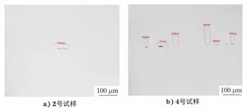 Morphology of nonmetallic inclusions of the boiler tubes