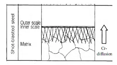 The Cr element diffusion channels in the shot peening layer on the inner wall of the steel pipe